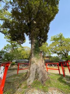 恋木神社