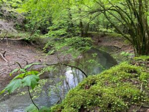 名水の滝