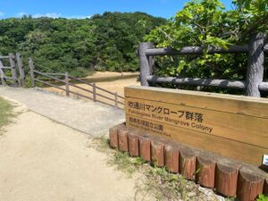 吹通川マングローブ群落