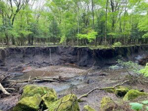 名水の滝