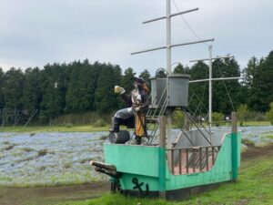 くじゅう花公園