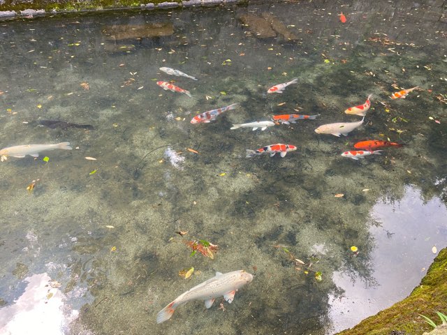 清水菅原神社(御手洗さん)