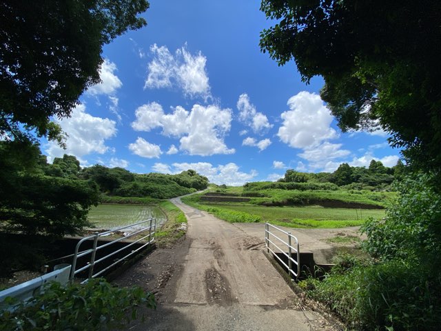 坪井川の源水点