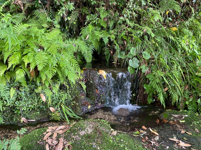 太郎迫神社の湧水