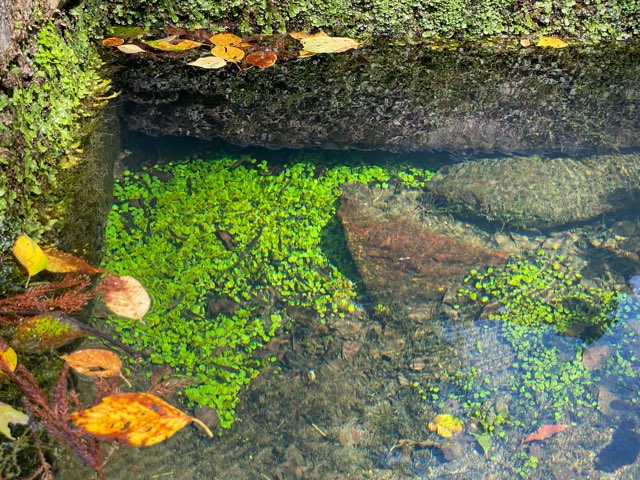 清水菅原神社(御手洗さん)