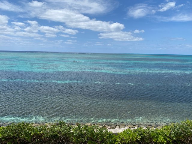 南ぬ浜町緑地公園