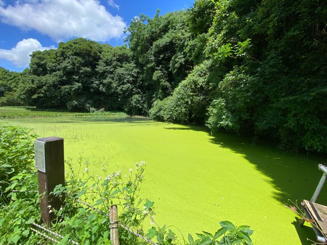 小清水の池