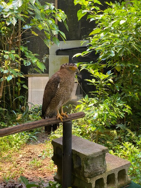 石垣やいま村