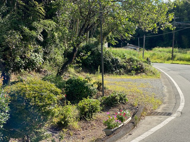 池の川水源