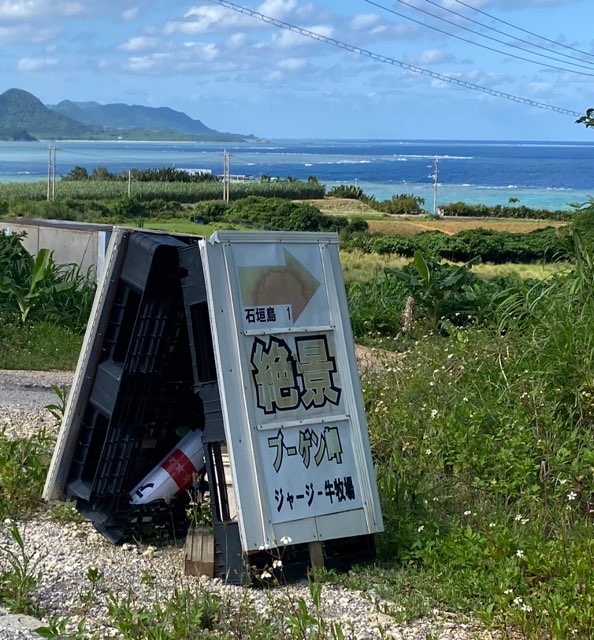 ブーゲン岬ジャージー牛牧場