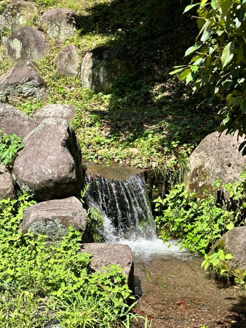 瑞厳寺公園