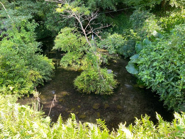 池の川水源