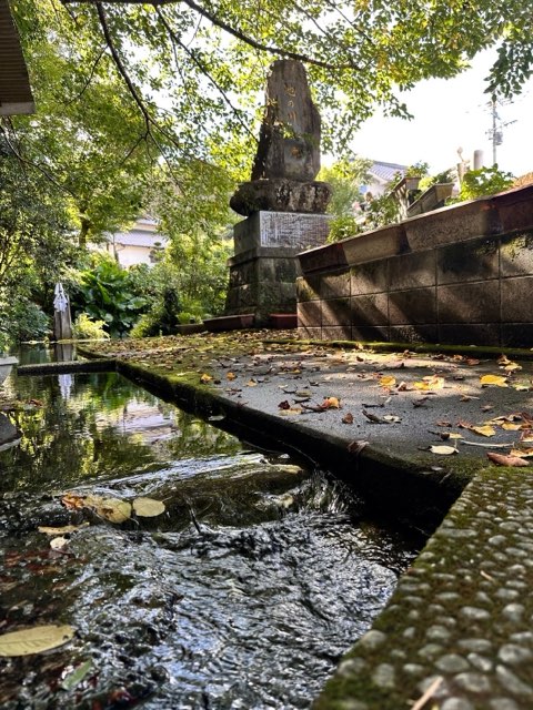 池の川水源