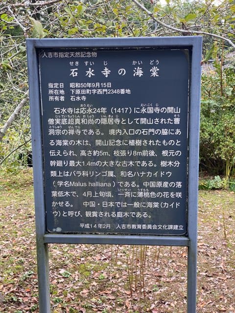 石水寺