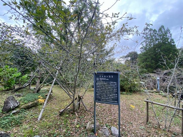 石水寺