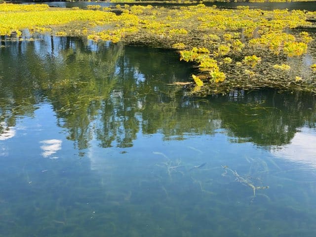 浮島神社