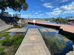 嘉島町湧水公園天然プール