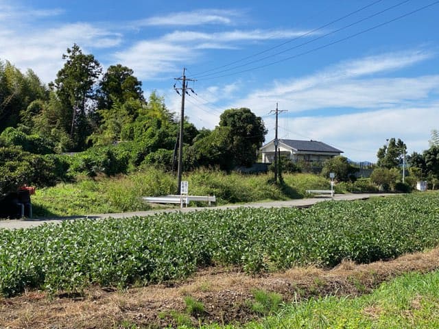 嘉島町湧水公園天然プール