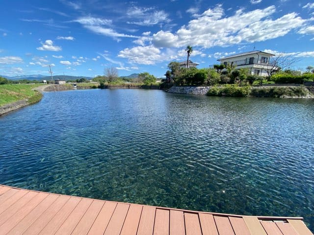 嘉島町湧水公園天然プール