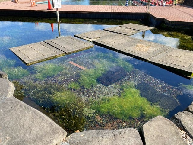 嘉島町湧水公園天然プール