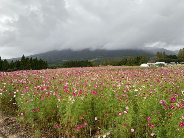 生駒高原