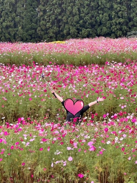 生駒高原