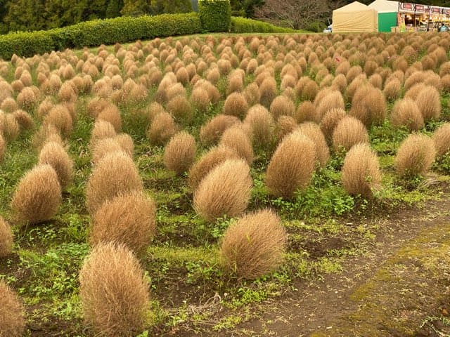 生駒高原