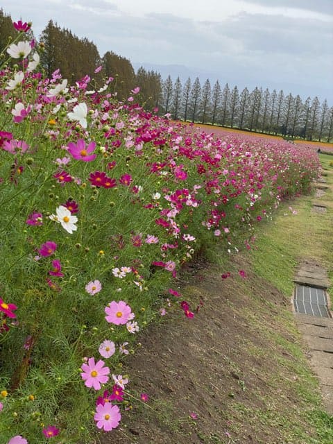 生駒高原