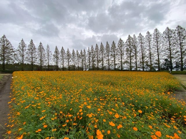 生駒高原