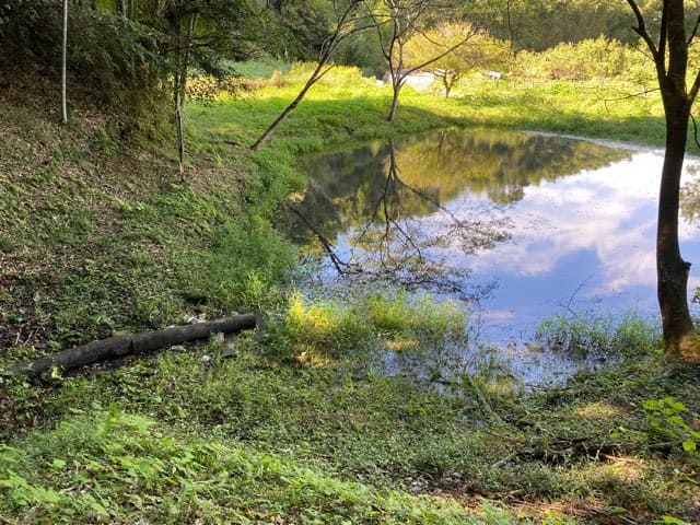 メリ穴公園