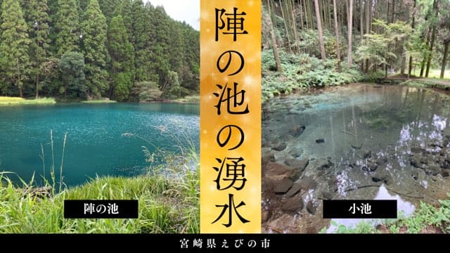 陣の池の湧水