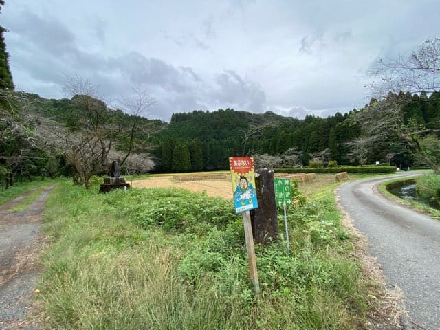 陣の池の湧水