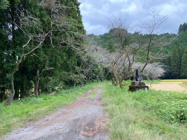 陣の池の湧水