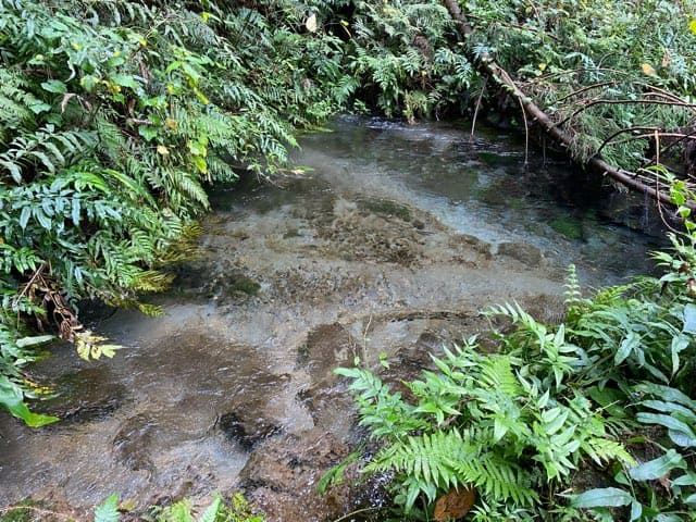 陣の池