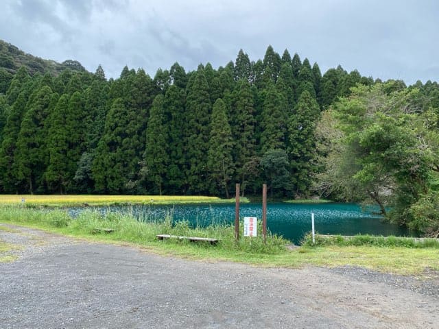 陣の池の湧水