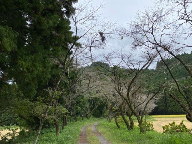 陣の池