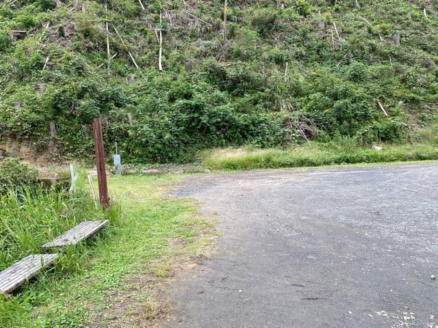 陣の池の湧水