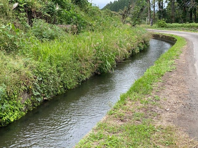 陣の池の湧水