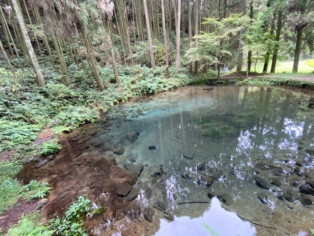 陣の池の湧水