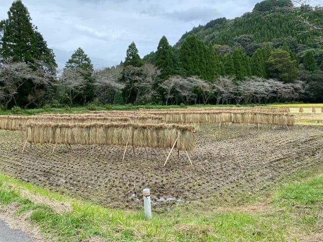 陣の池の湧水