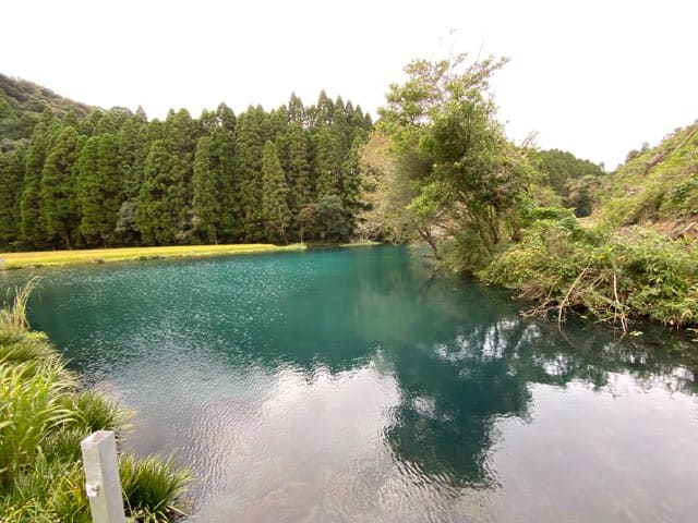 陣の池の湧水