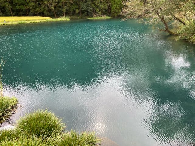 陣の池の湧水