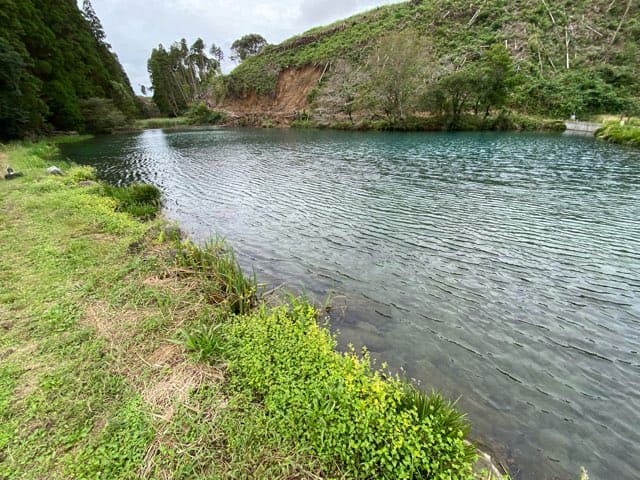 陣の池の湧水