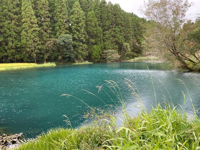 陣の池の湧水