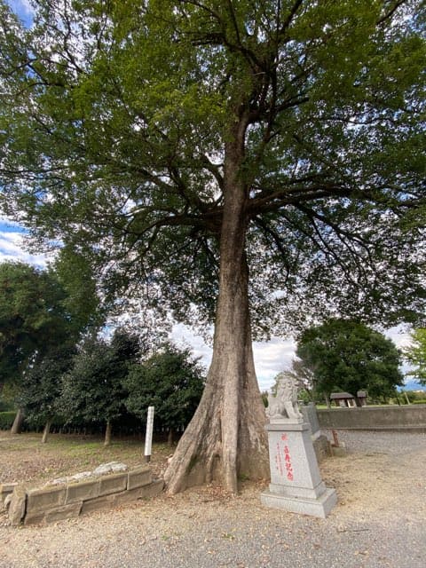 中無田熊野座神社の銘水