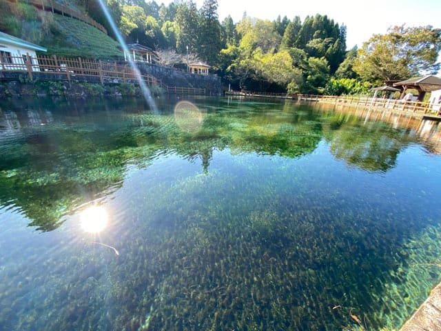 丸池湧水