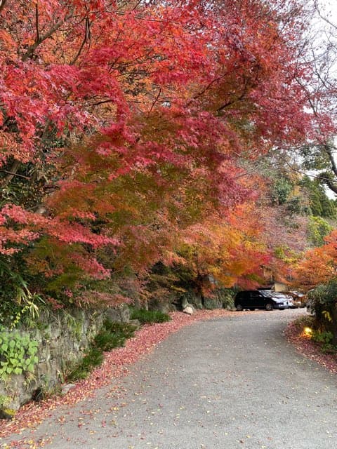 栗山温泉 紅さんざし