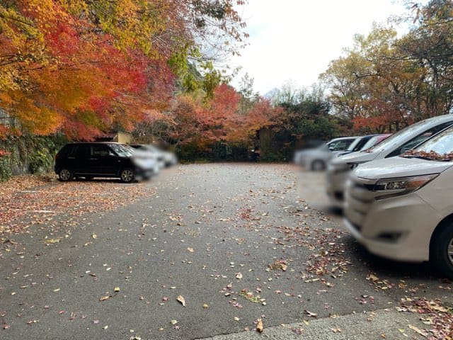 栗山温泉紅さんざし