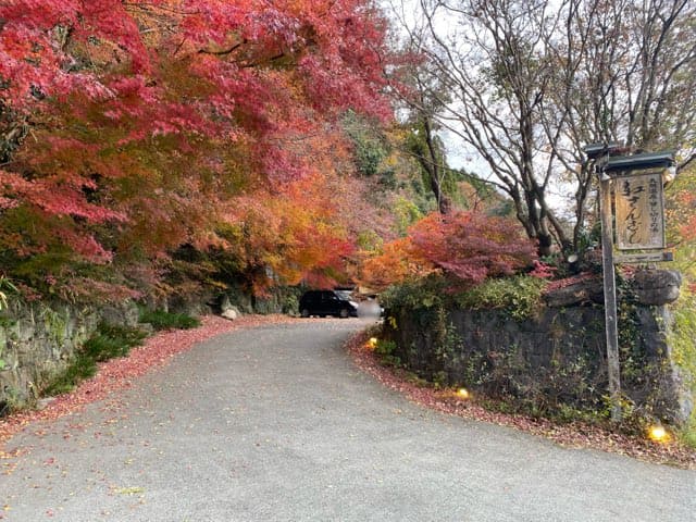 栗山温泉紅さんざし